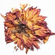Luciano Fileti, Floral Destruction