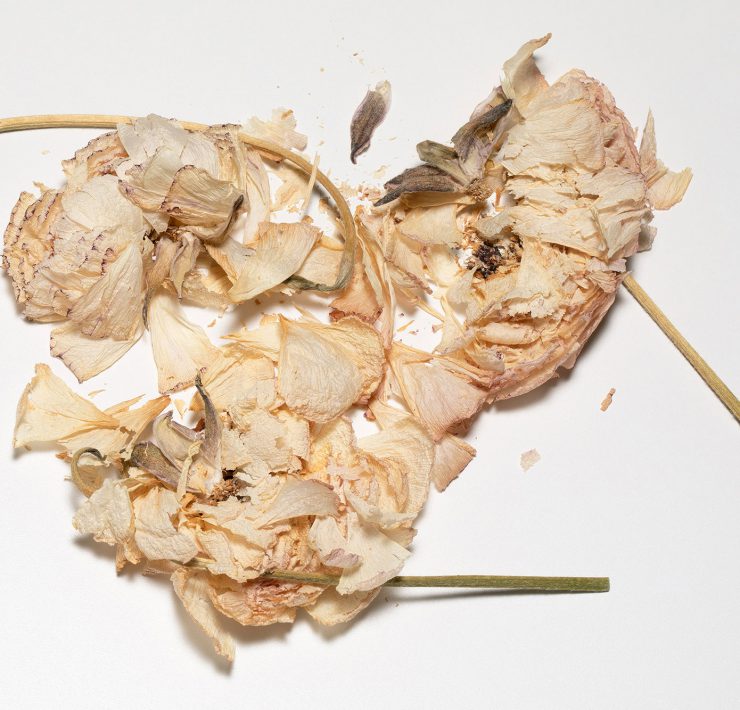 Luciano Fileti, Floral Destruction