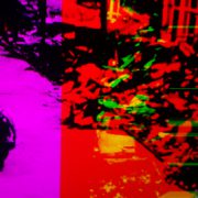 American Technocracy