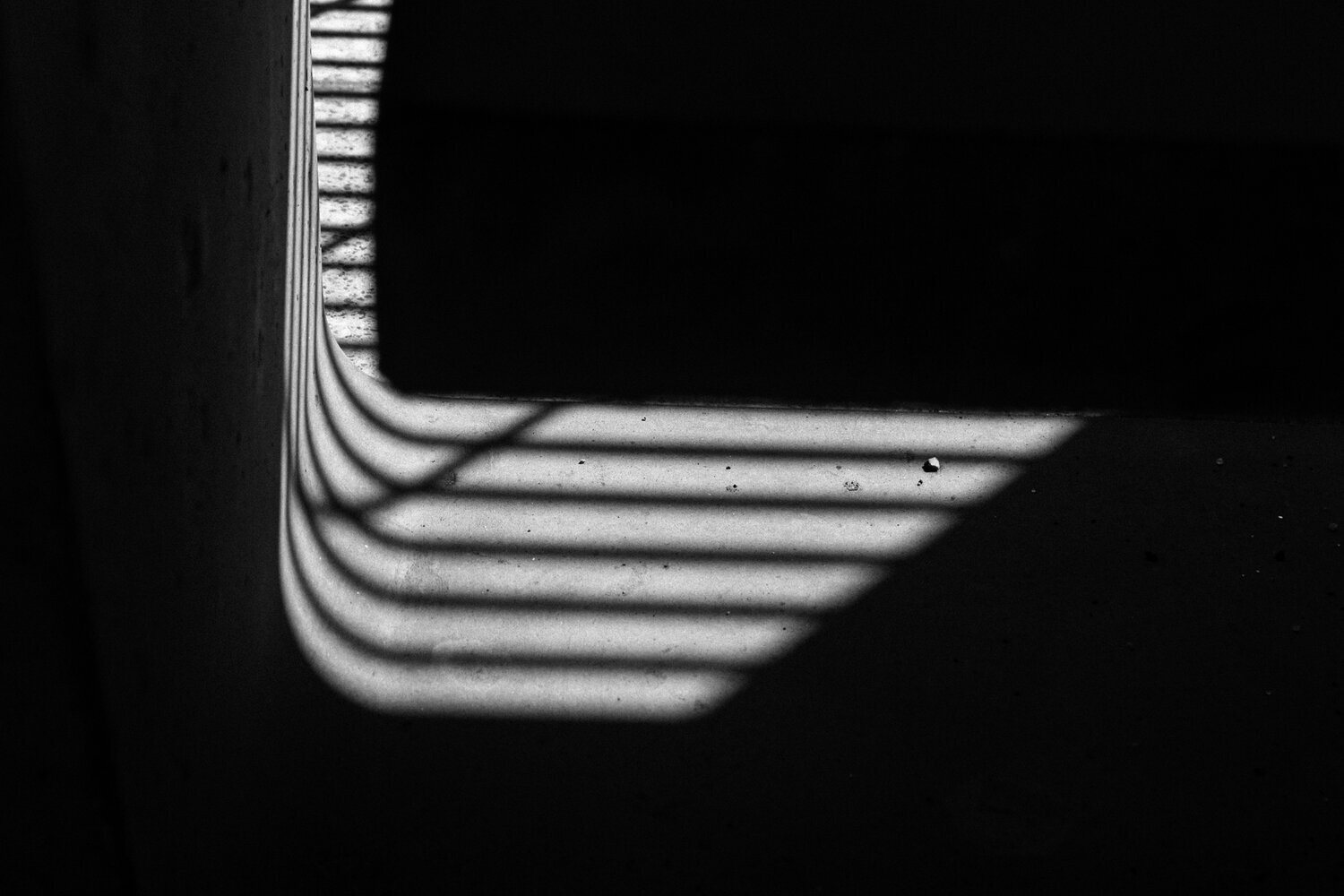 Photography by Jake Dylan