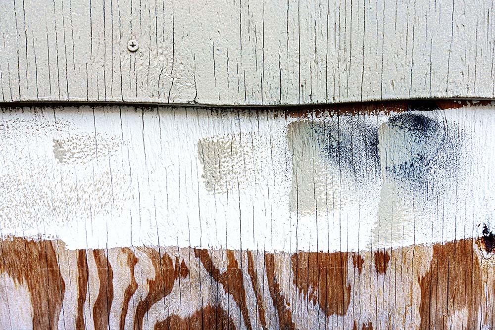 Abby Robinson, detail from the Lamentation photography series